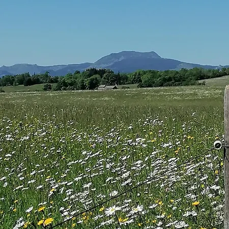 Maison La Vigne - Et D'hotes 3*