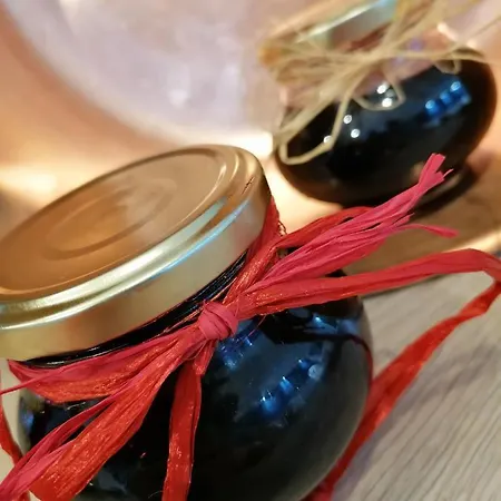 Alojamento de Acomodação e Pequeno-almoço Maison La Vigne - Et D'hôtes Le Chambon-sur-Lignon