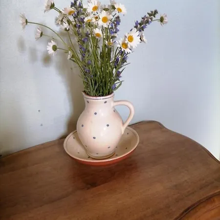 Maison La Vigne - Et D'hotes 3* Шамбон-сюр-Линьон