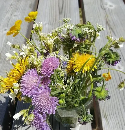 Maison La Vigne - Et D'hotes 3* Le Chambon-sur-Lignon