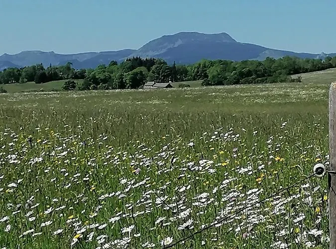 Maison La Vigne - Et D'hotes 3*