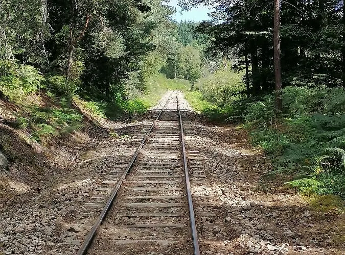 Maison La Vigne - Et D'hotes Bed and Breakfast Le Chambon-sur-Lignon