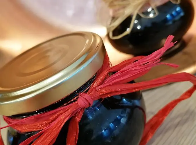 Bed and Breakfast Maison La Vigne - Et D'hotes Le Chambon-sur-Lignon