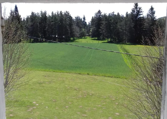 Maison La Vigne - Et D'hotes Bed and Breakfast Le Chambon-sur-Lignon