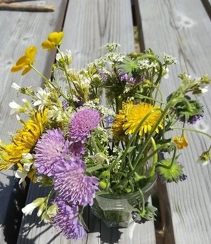 Maison La Vigne - Et D'hotes 3* Le Chambon-sur-Lignon